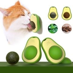 Kedi Nanesi Avakado Model