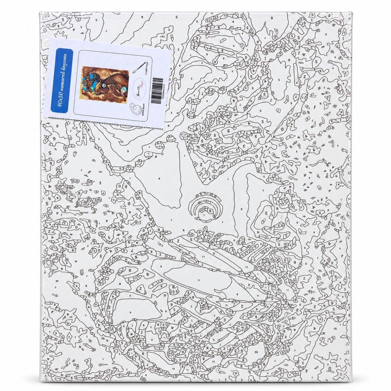 Toptan Numaralı Boyalı Tuval Seti 40x50 Cm