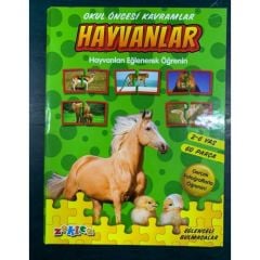 Toptan Okul Öncesi Hayvanlar
