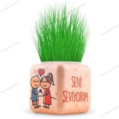 Toptan Çim Adam 24 lü Aşkı-Çim