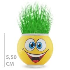 Toptan Çim Adam Çimoji 24 lü