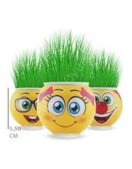 Toptan Çim Adam Çimoji 24 lü