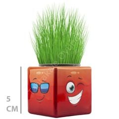 Toptan Mini Çim Adam Küp Model 32 li Çimoji