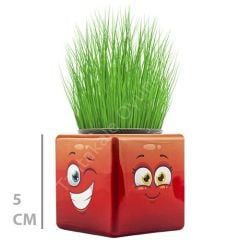 Toptan Mini Çim Adam Küp Model 32 li Çimoji