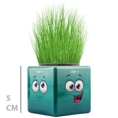 Toptan Mini Çim Adam Küp Model 32 li Çimoji