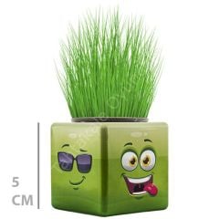 Toptan Mini Çim Adam Küp Model 32 li Çimoji