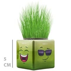 Toptan Mini Çim Adam Küp Model 32 li Çimoji