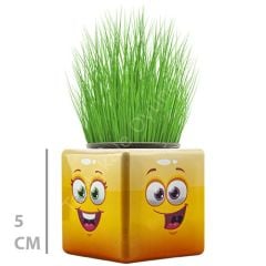 Toptan Mini Çim Adam Küp Model 32 li Çimoji