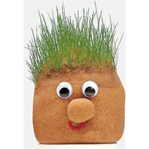 Toptan Çim Adam Yapım Seti