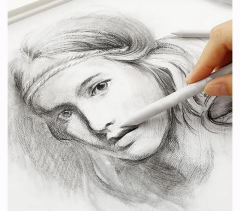 Toptan Toz Pastel Kaynaştırma Dağıtıcı Kalem Seti - 6'lı Paket