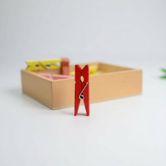 Toptan Ahşap Renkli Mini Mandal