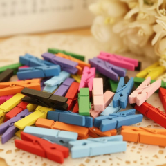 Toptan Ahşap Renkli Mini Mandal