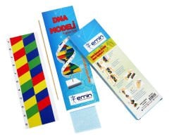 Toptan DNA Modeli Seti