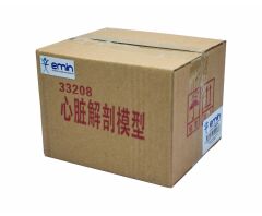 Toptan Kalp Anatomisi Modeli