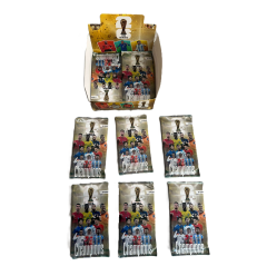Toptan Dünya Kupası Futbolcu Kartı 160'lı