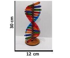 Toptan DNA Modeli Yapım Seti Ahşap