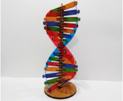 Toptan DNA Modeli Yapım Seti Ahşap