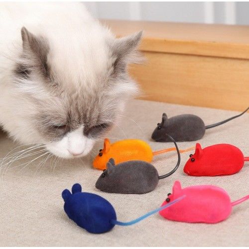 Toptan Kedi Eğitim Oyun Faresi