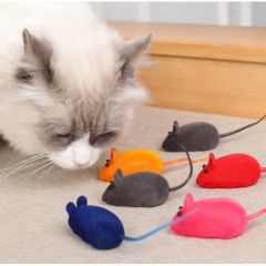 Toptan Kedi Eğitim Oyun Faresi